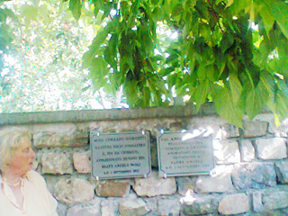 foto1